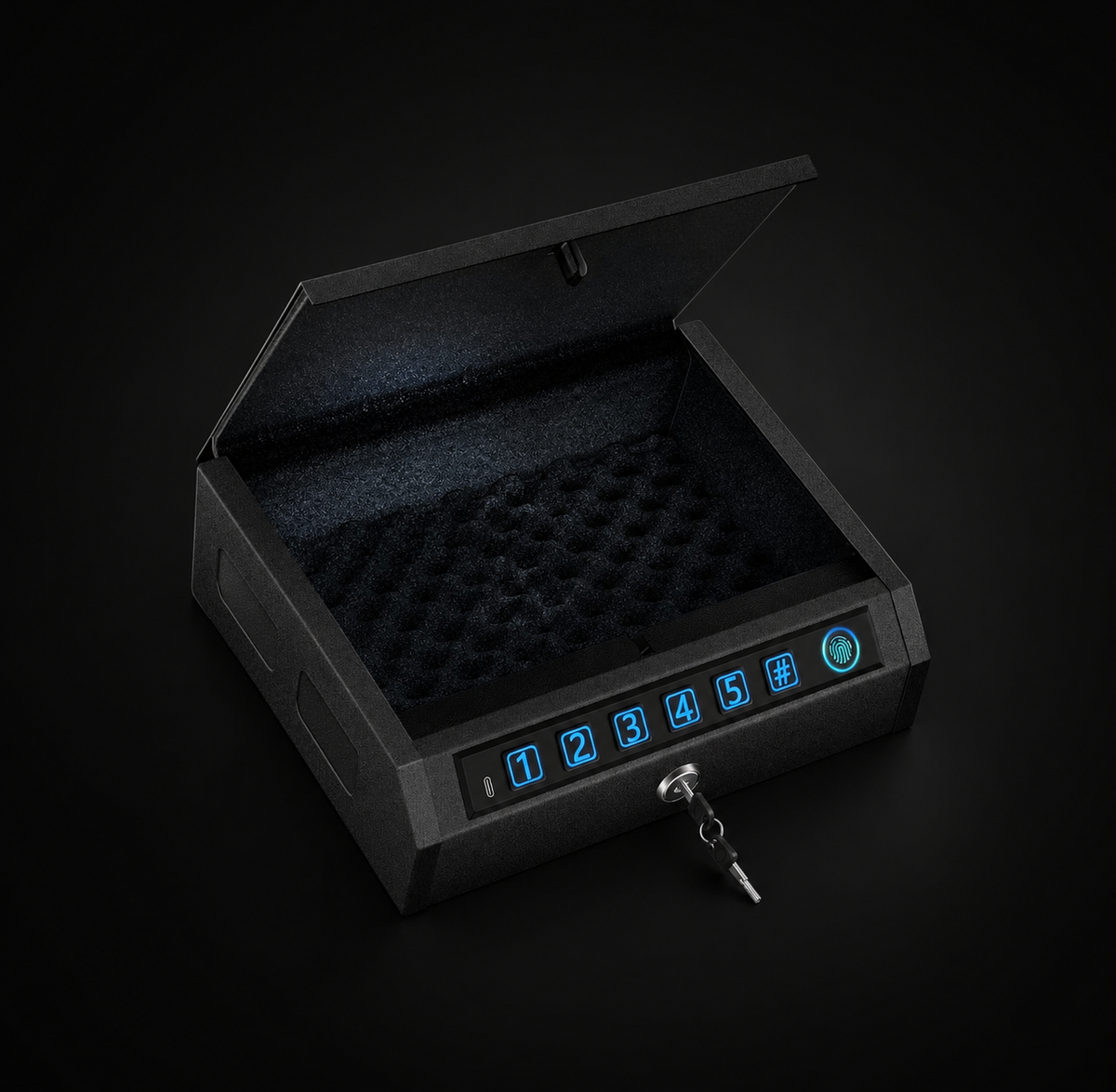 Budget biometric safe tier